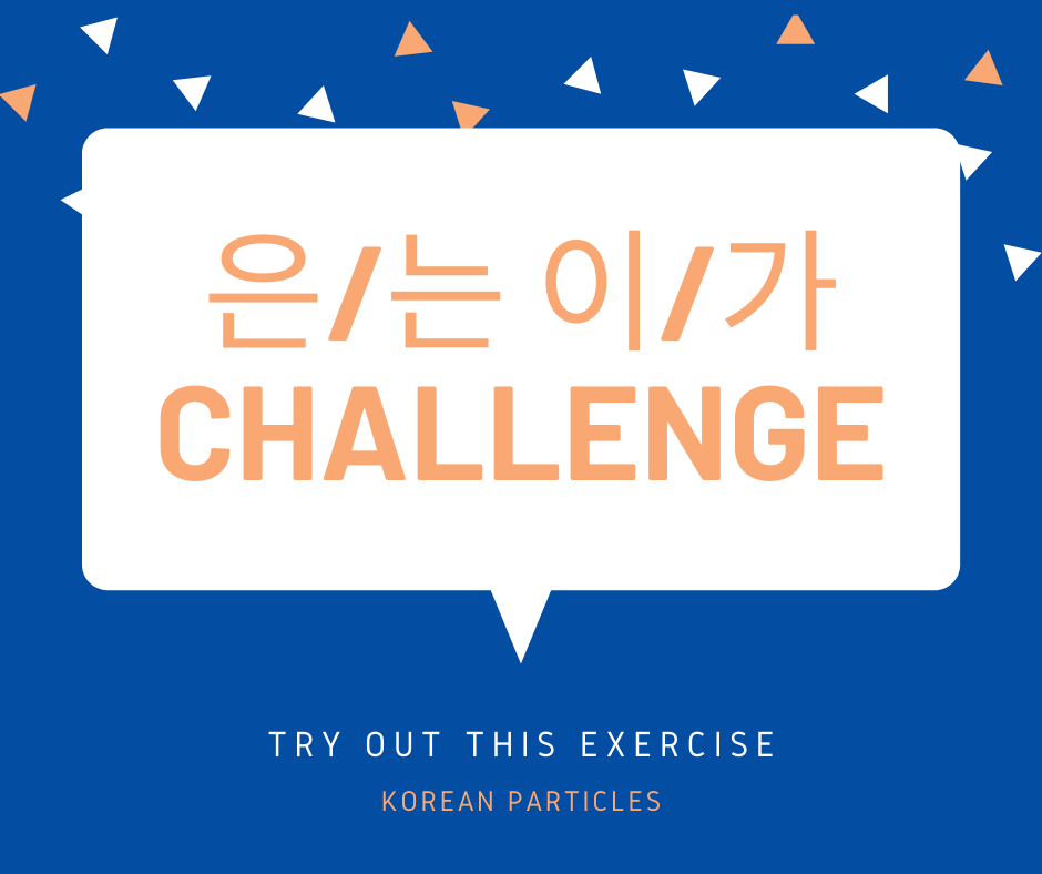 은/는 이/가 Exercise