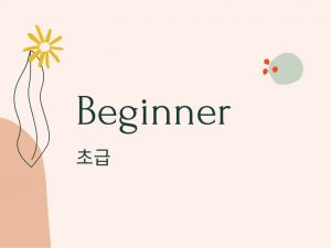 Beginner